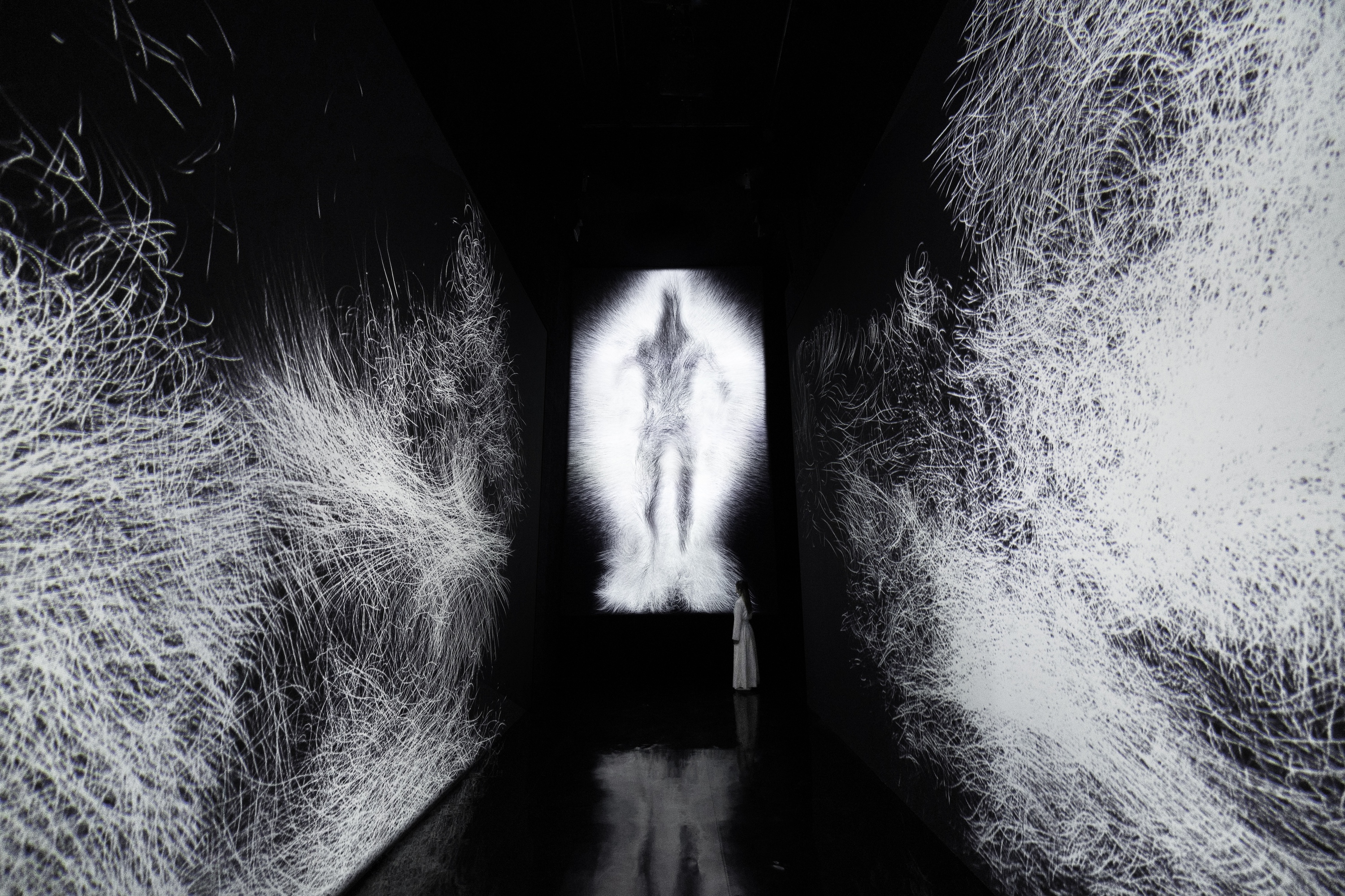 Full installation view of 'Dissipative Figures – Human, Light in Dark' and '1000 Birds, Light in Dark'