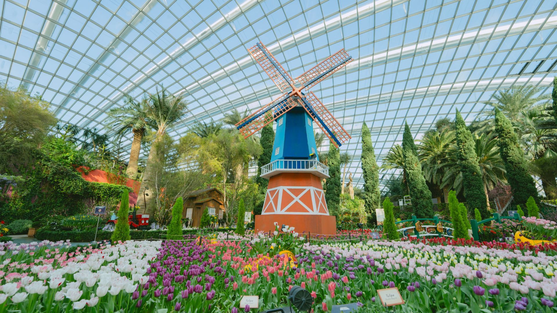 SG60 Wonder Blooms deal for Gardens by the Bay's Flower Dome in Singapore