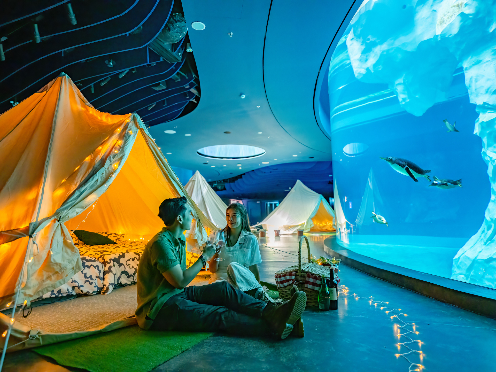 Glamping with the Penguins