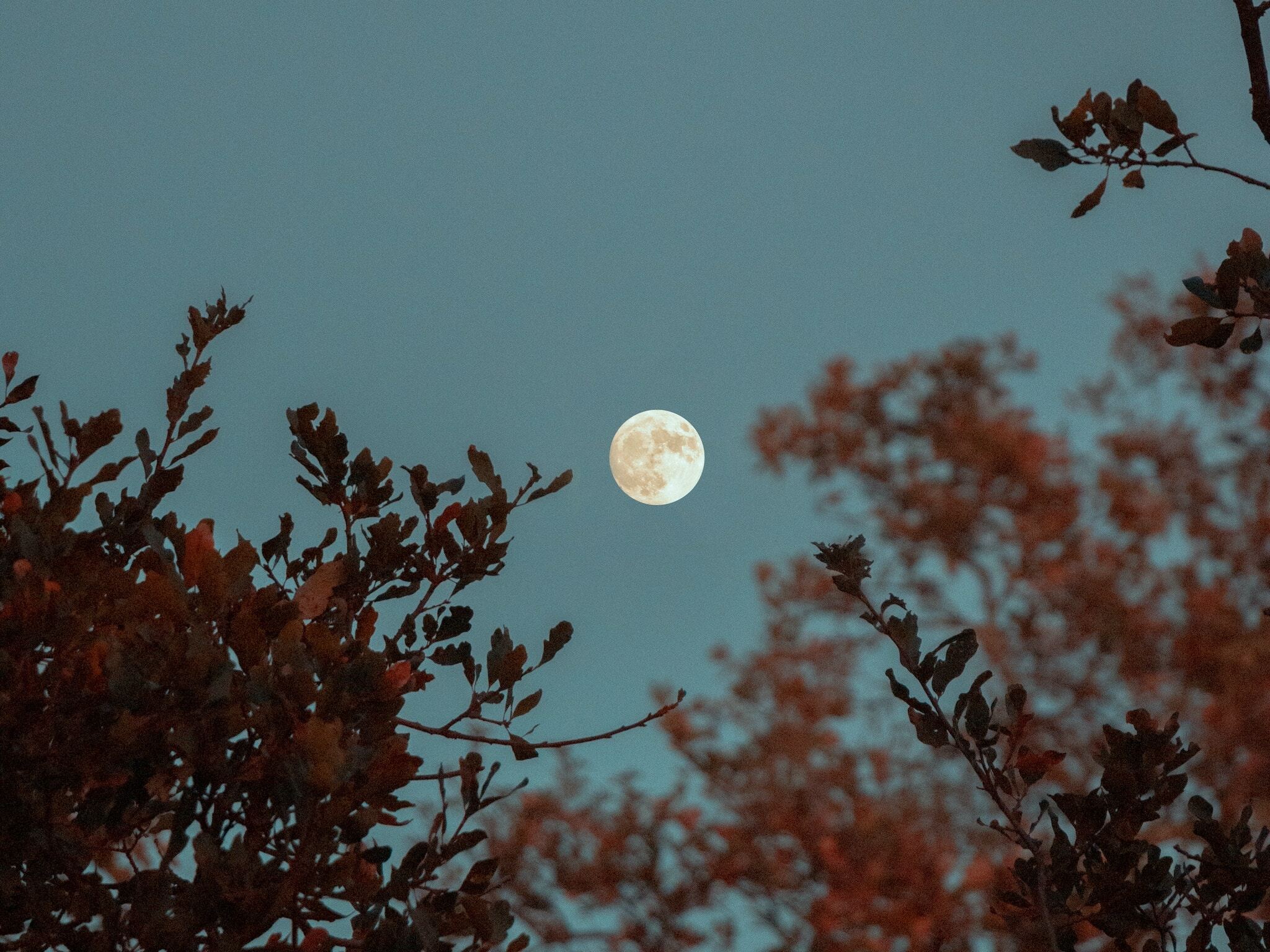 Full moon