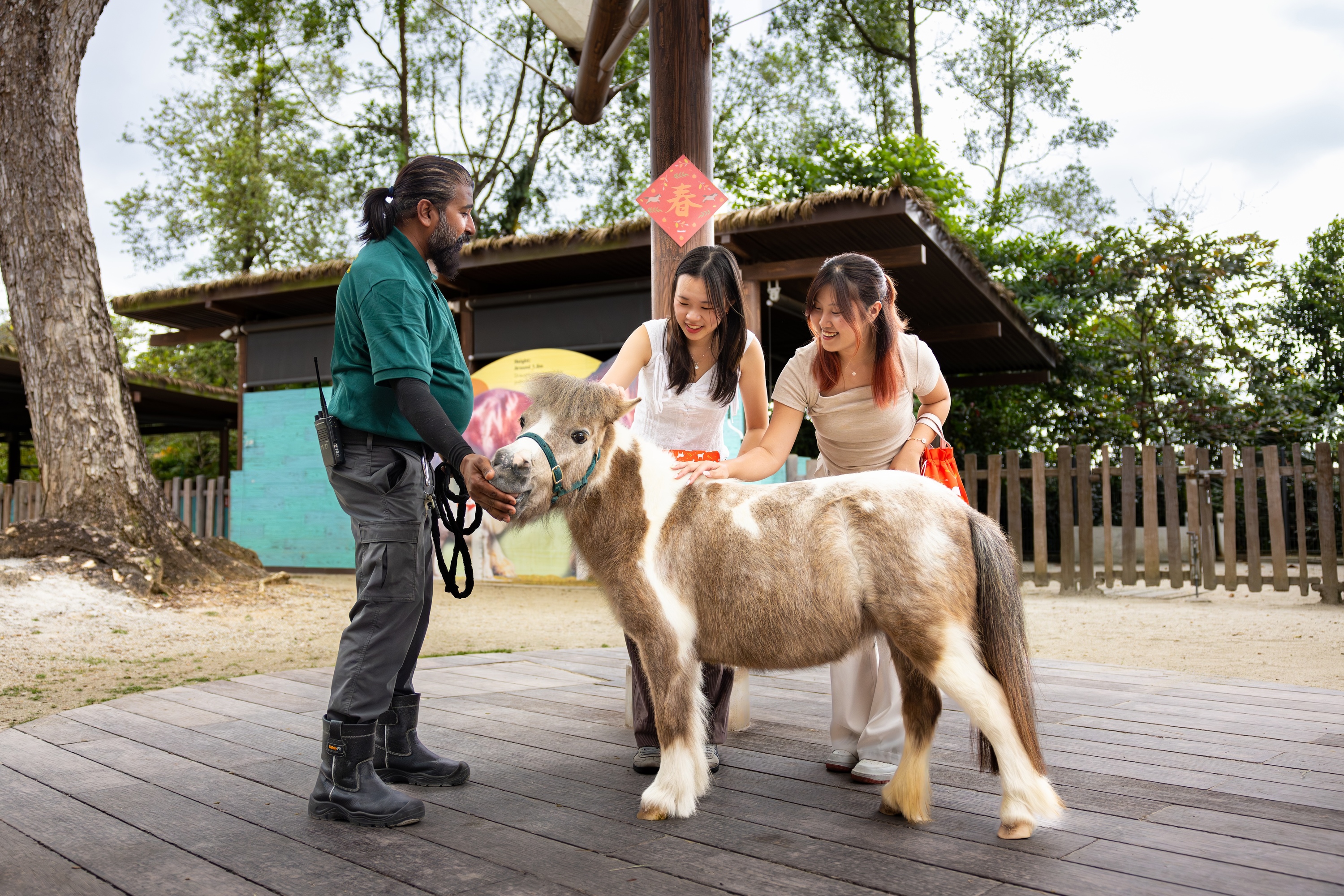 All-new experience, 'Hello from the Wild: Horse'