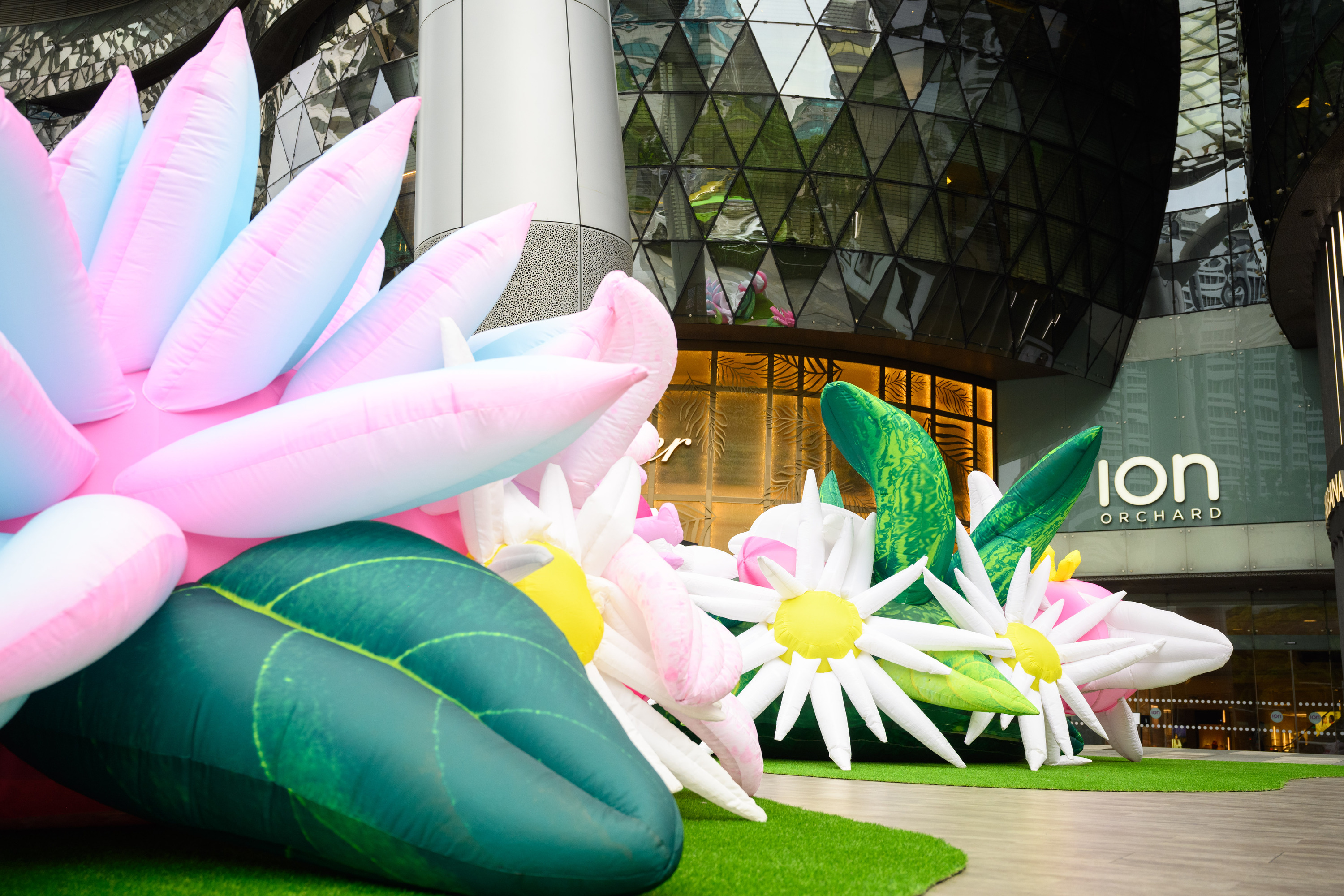 ION Orchard