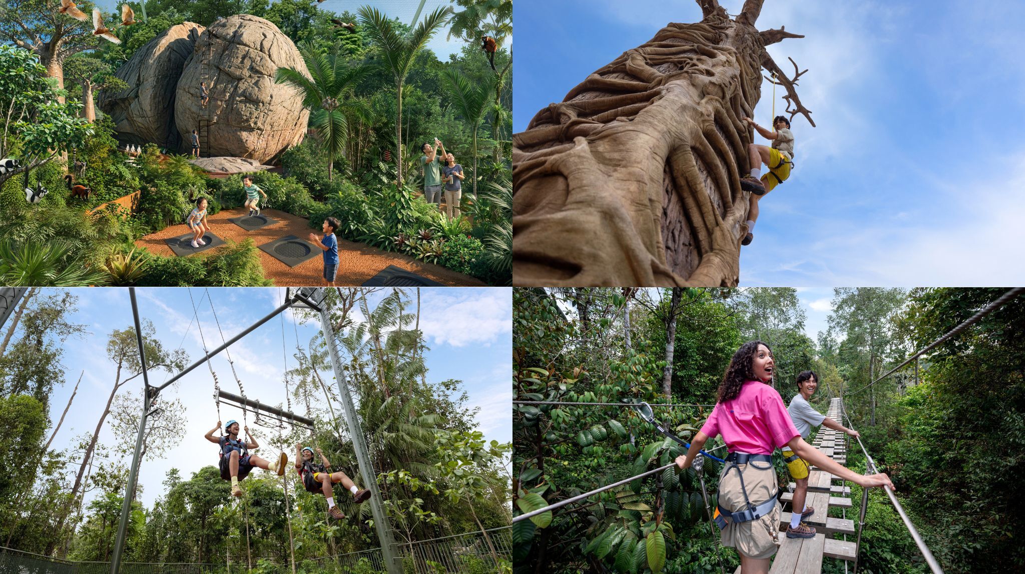 Rainforest Wild Adventure