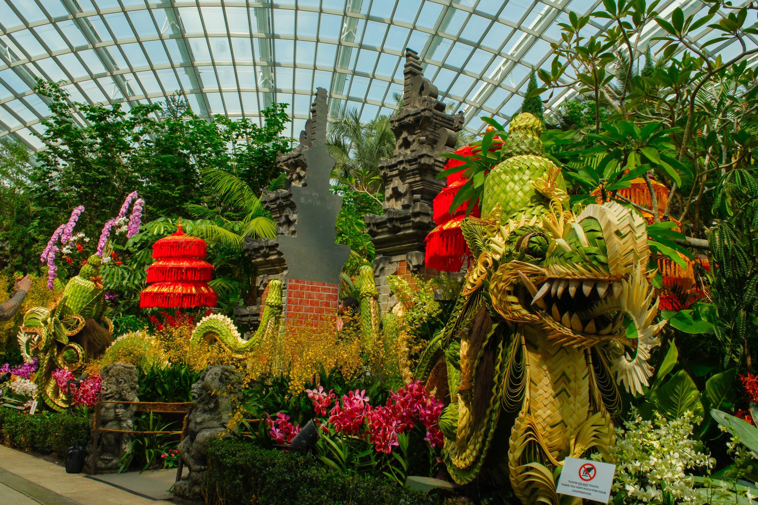 Orchid Extravaganza: Rhythm of the Rainforest