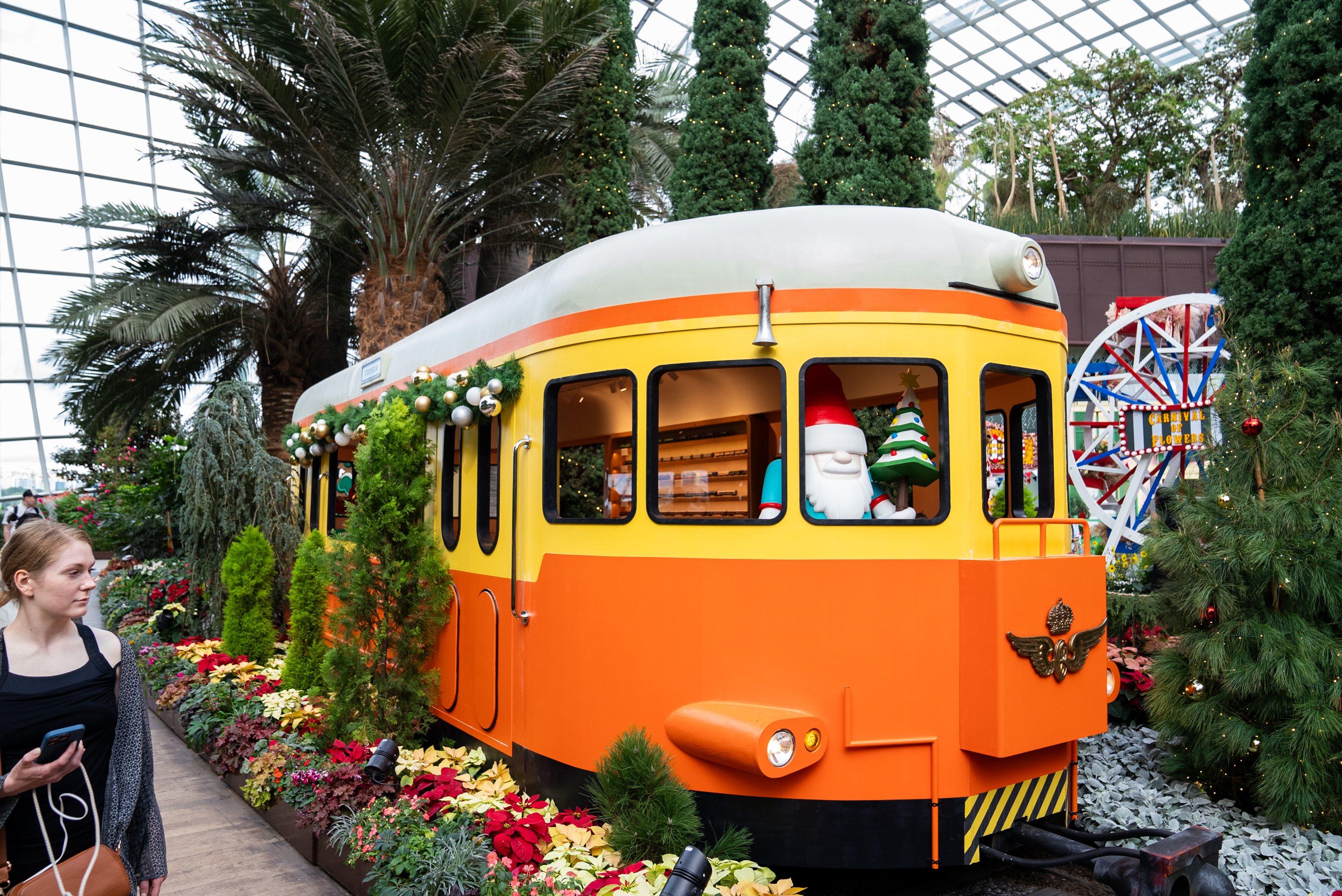 Christmas Train Show 2024