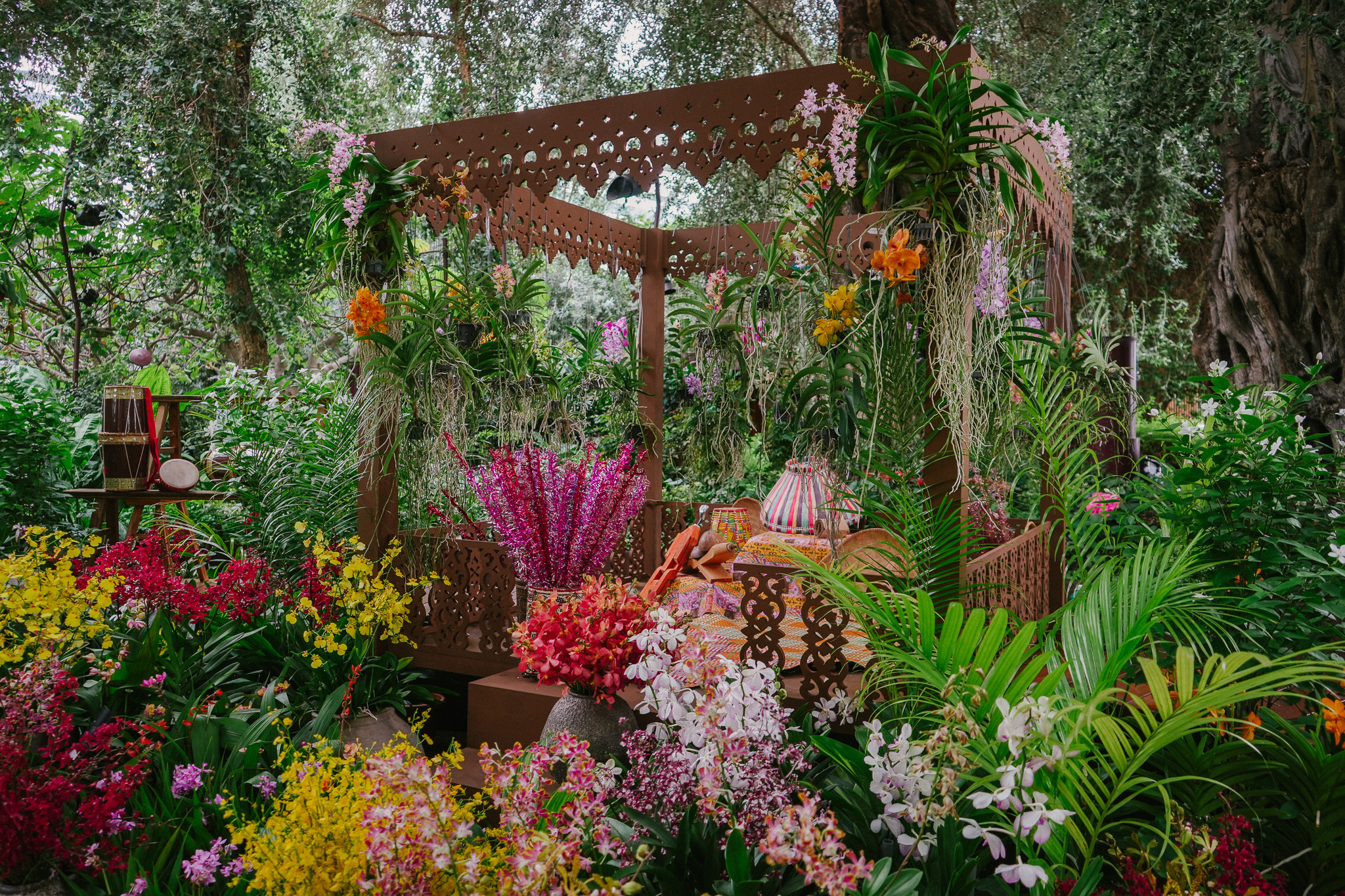 Truly Asia Orchids