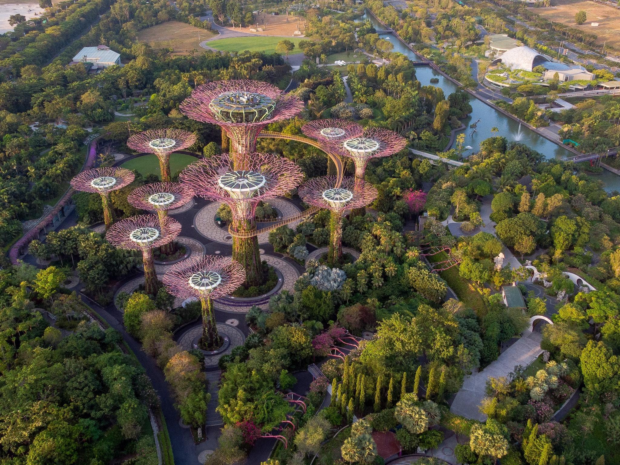 gardens by the bay