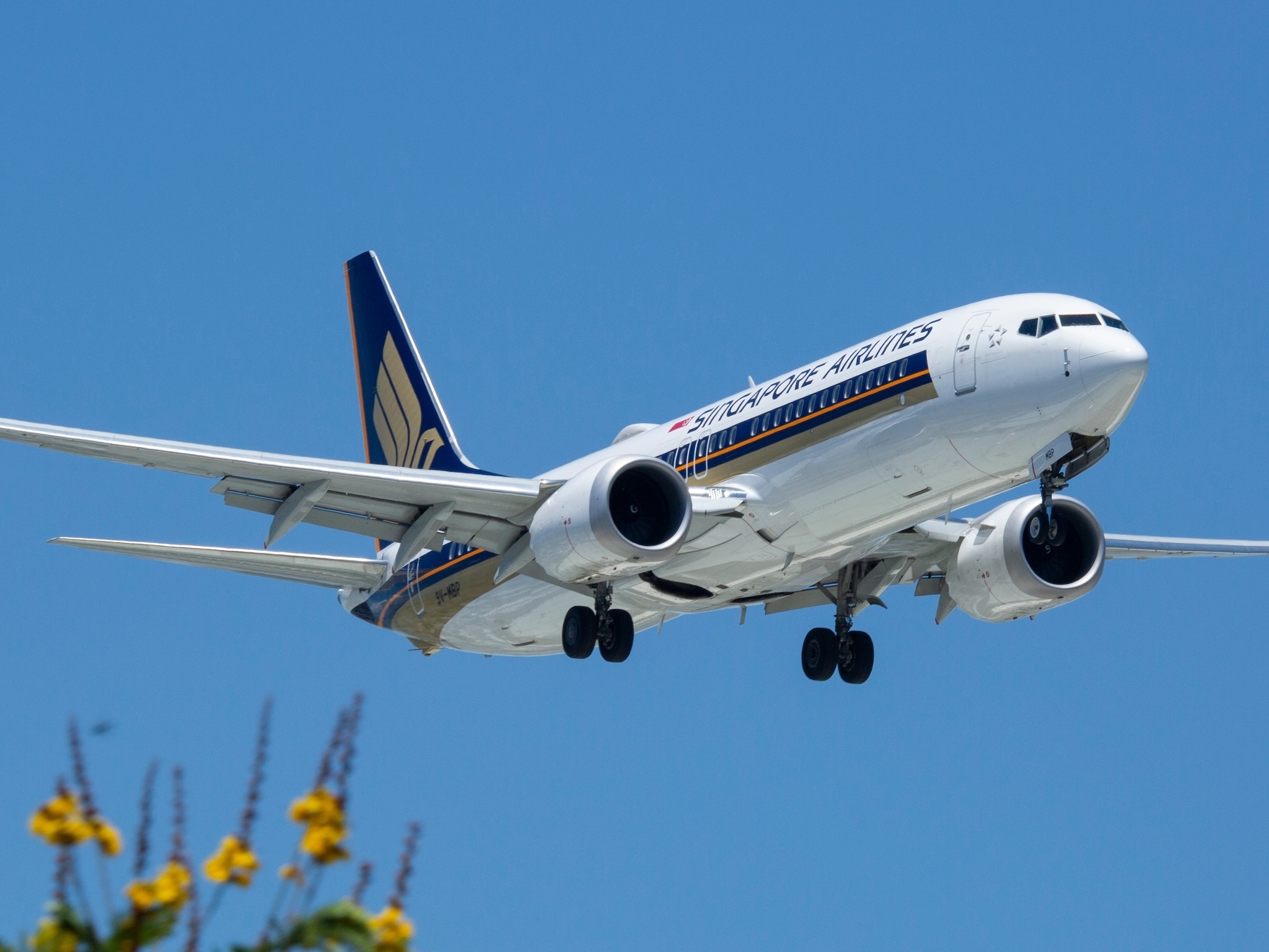 Singapore Airlines