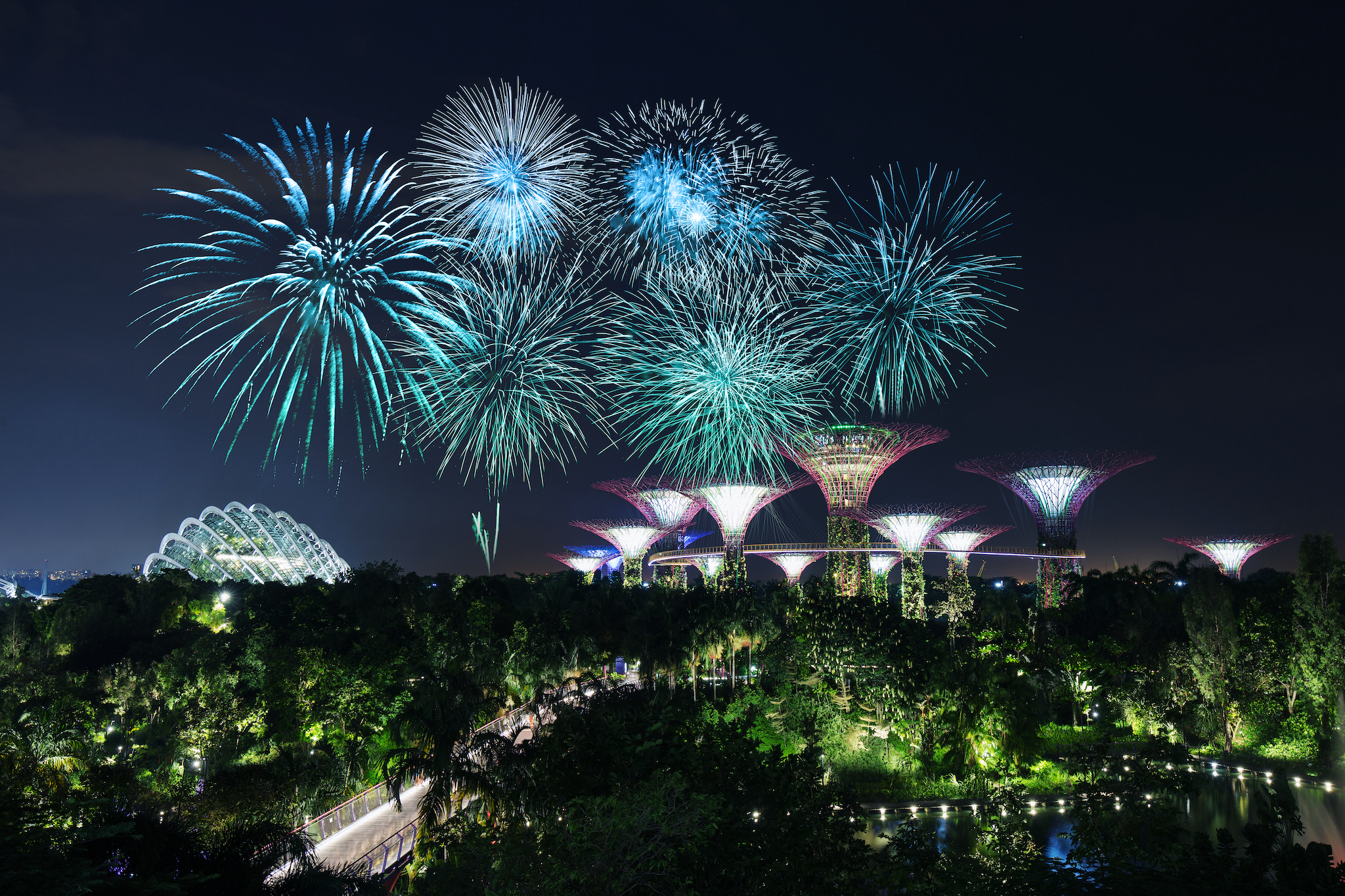 Gardens by the Bay, Fireworks