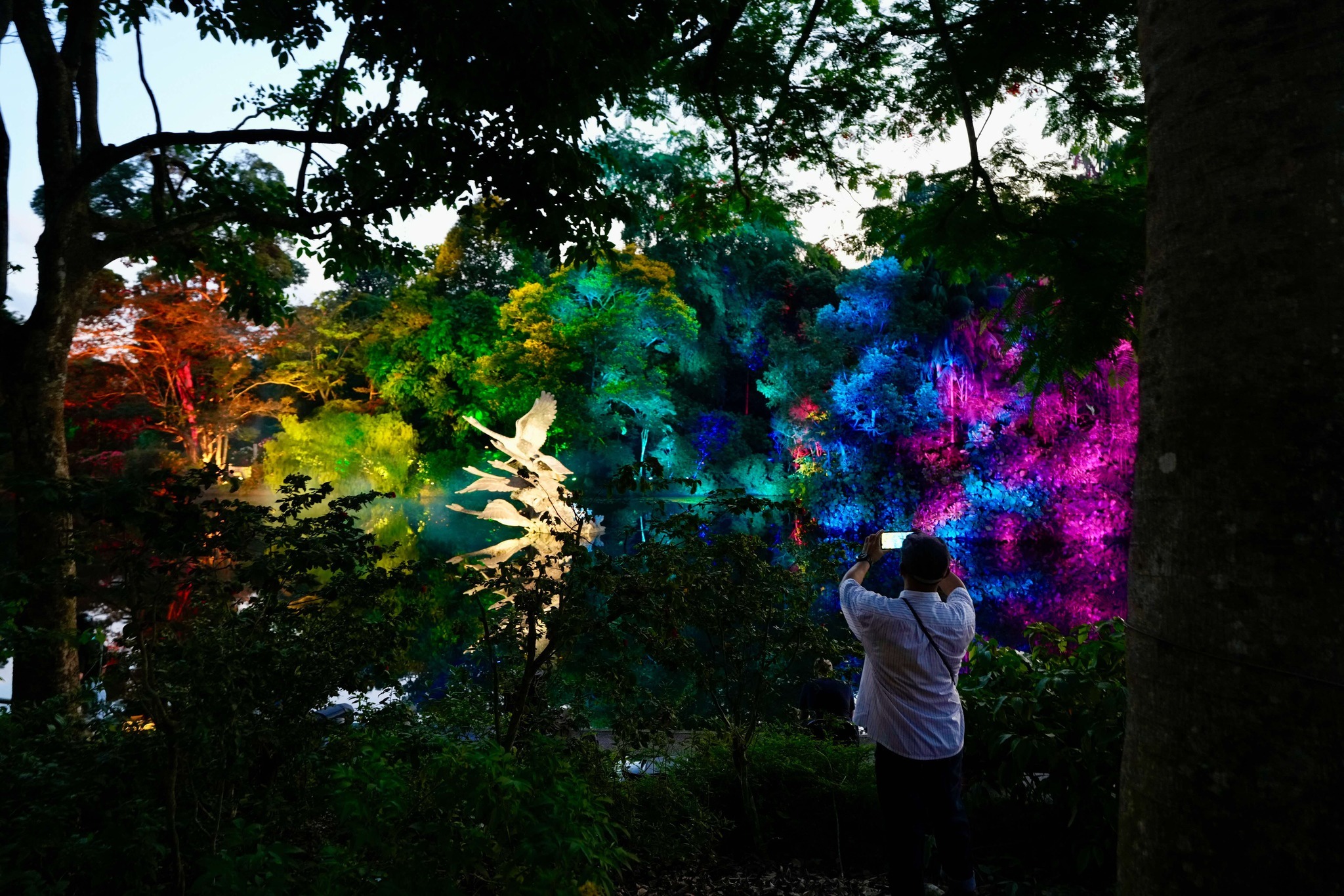 Singapore Botanic Gardens Light Show
