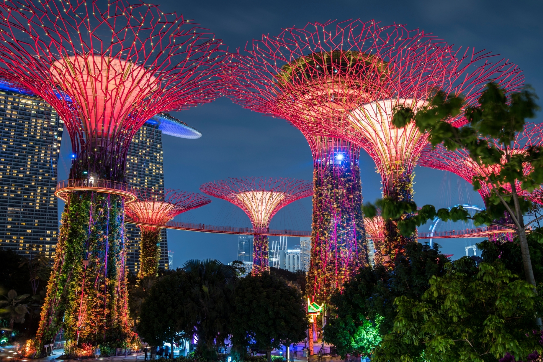 Best travel destinations in Asia 2025 according to TripAdvisor