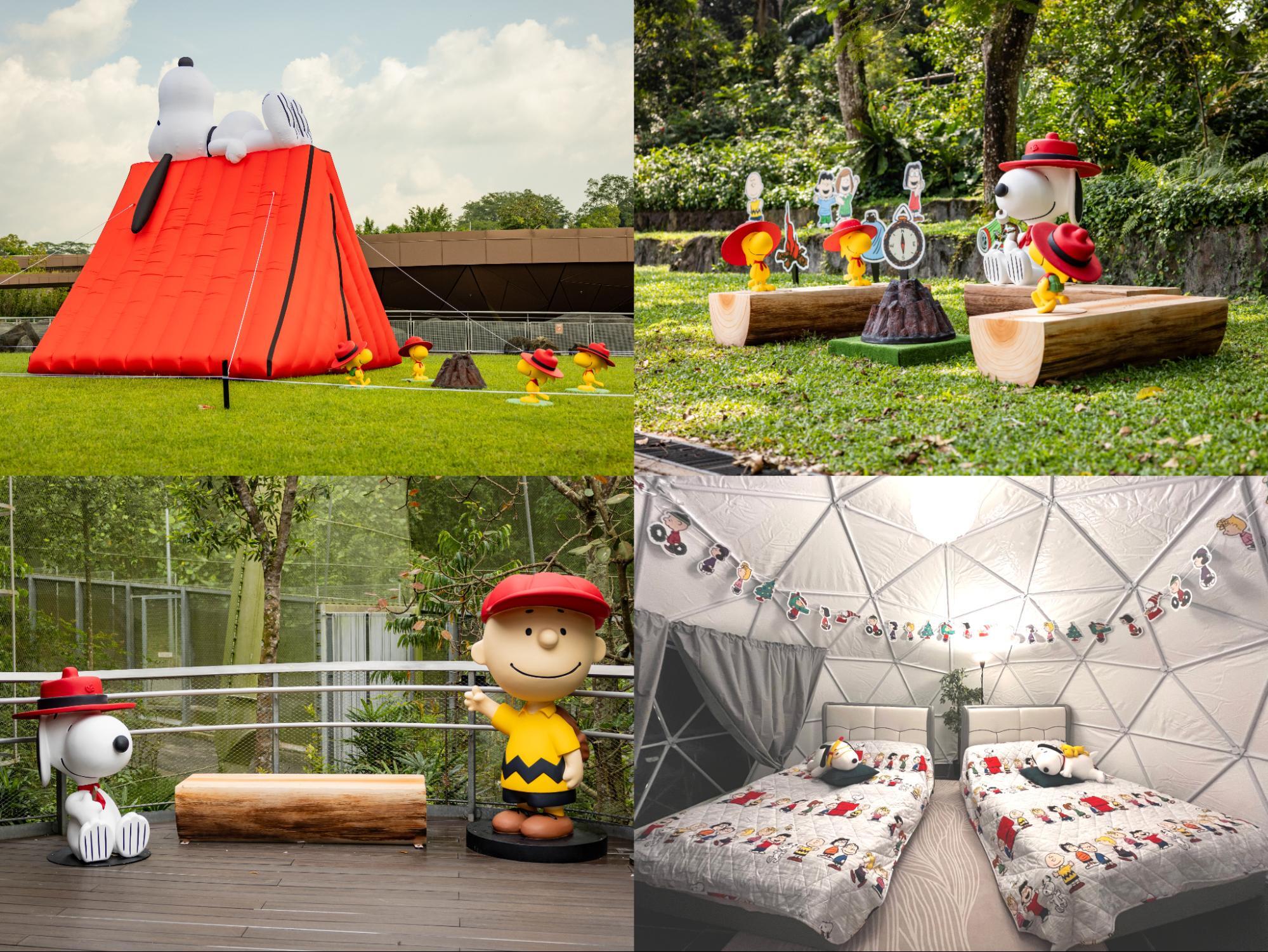 Snoopy pop-up at Singapore Zoo and Bird Paradise