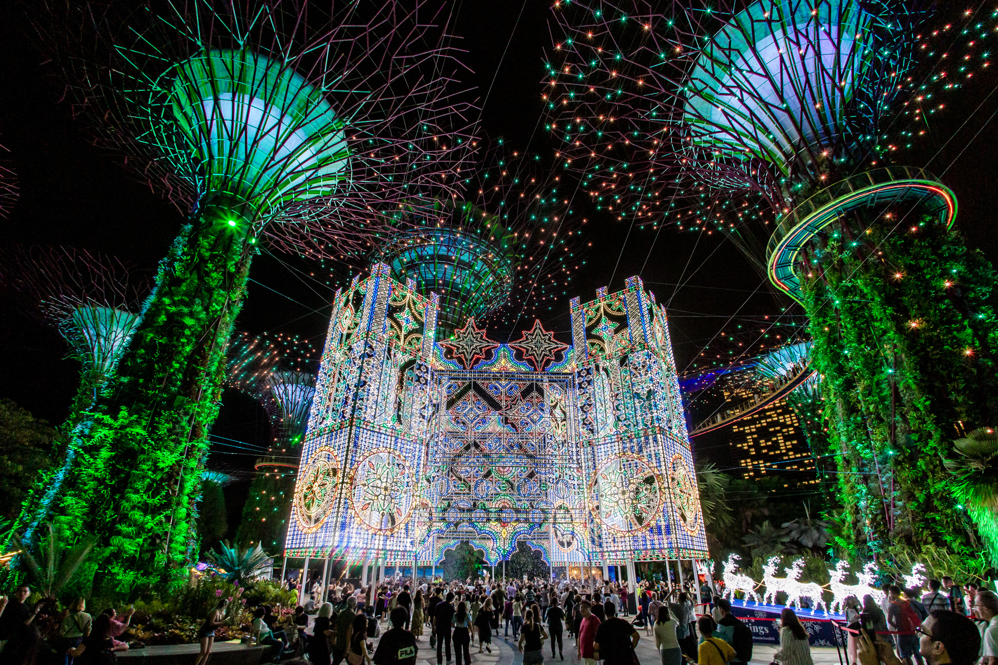 Christmas Wonderland 2024