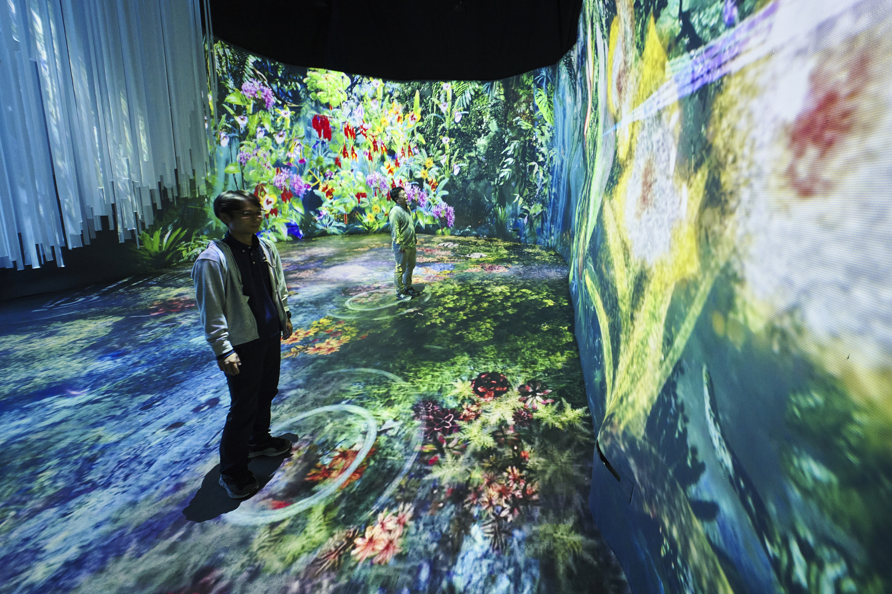 The Hidden Forest
