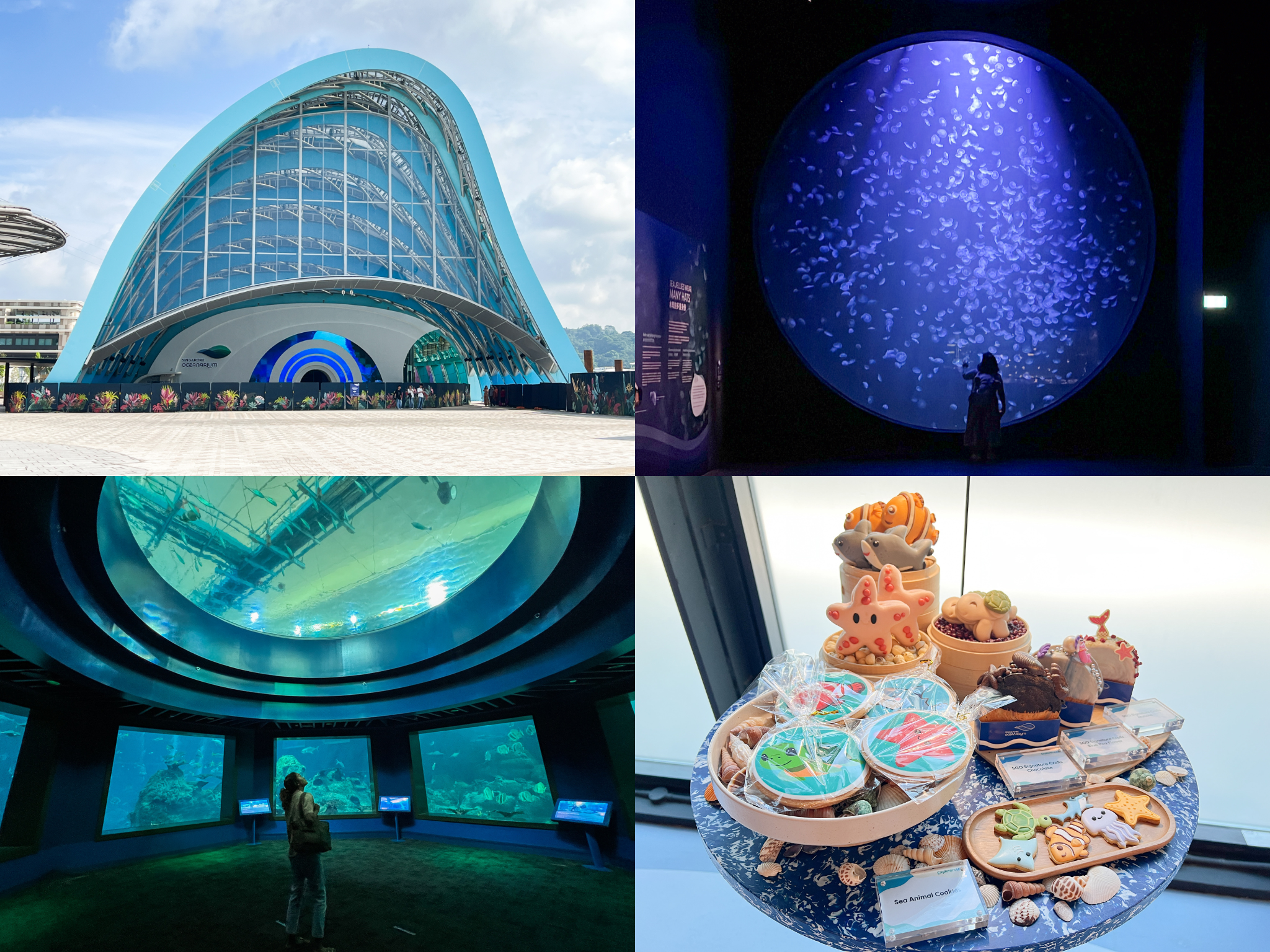 Singapore Oceanarium