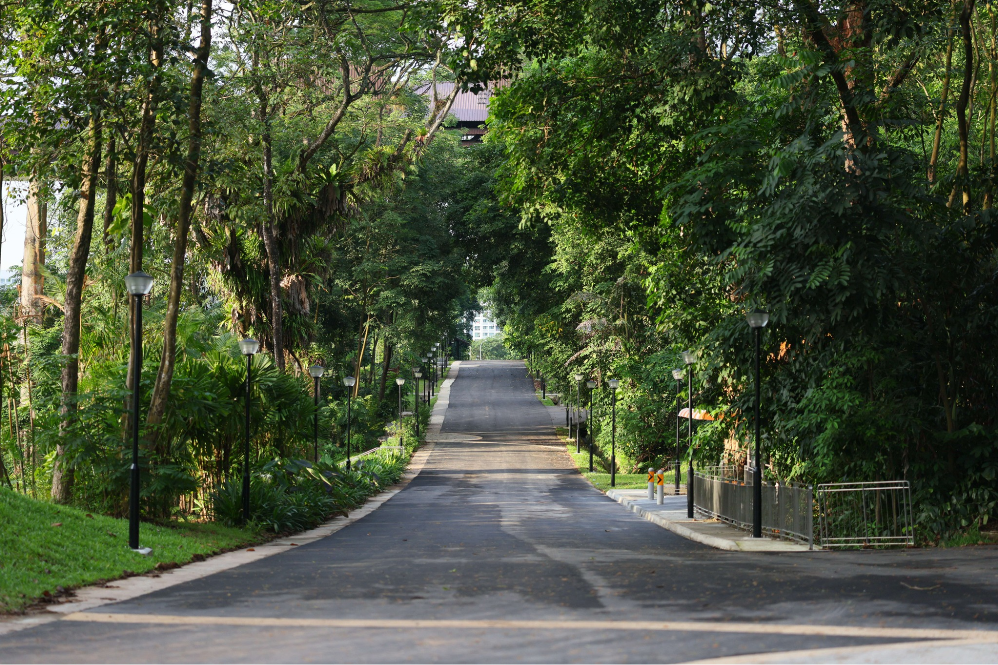 Old Punggol Road