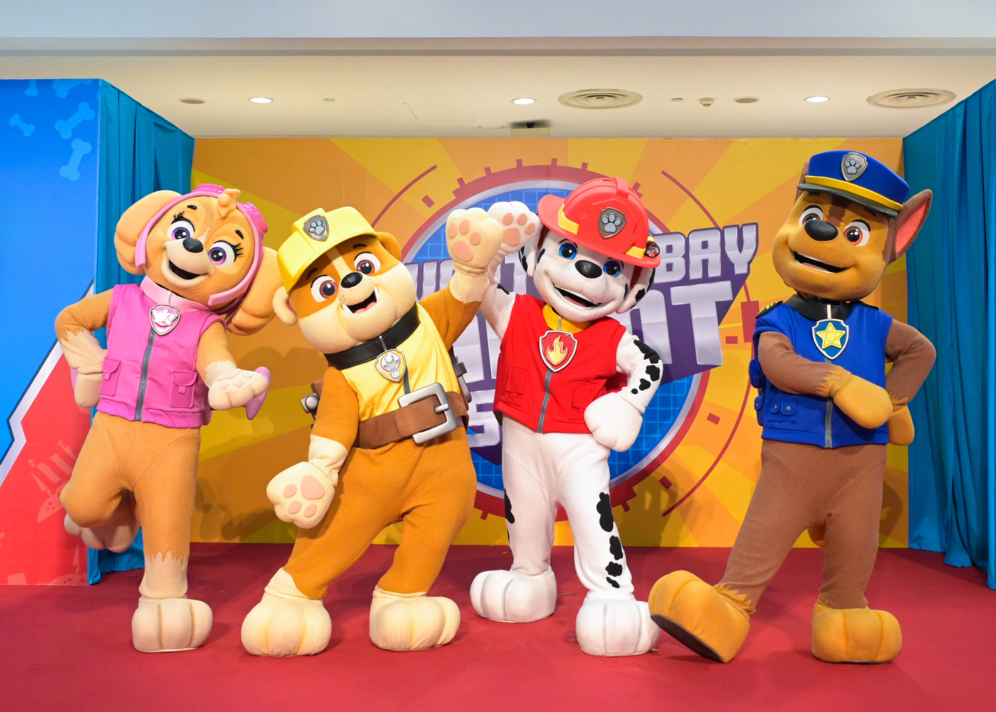 paw patrol