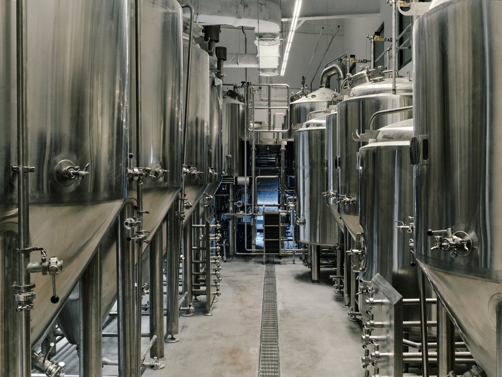People People Brewing Co.