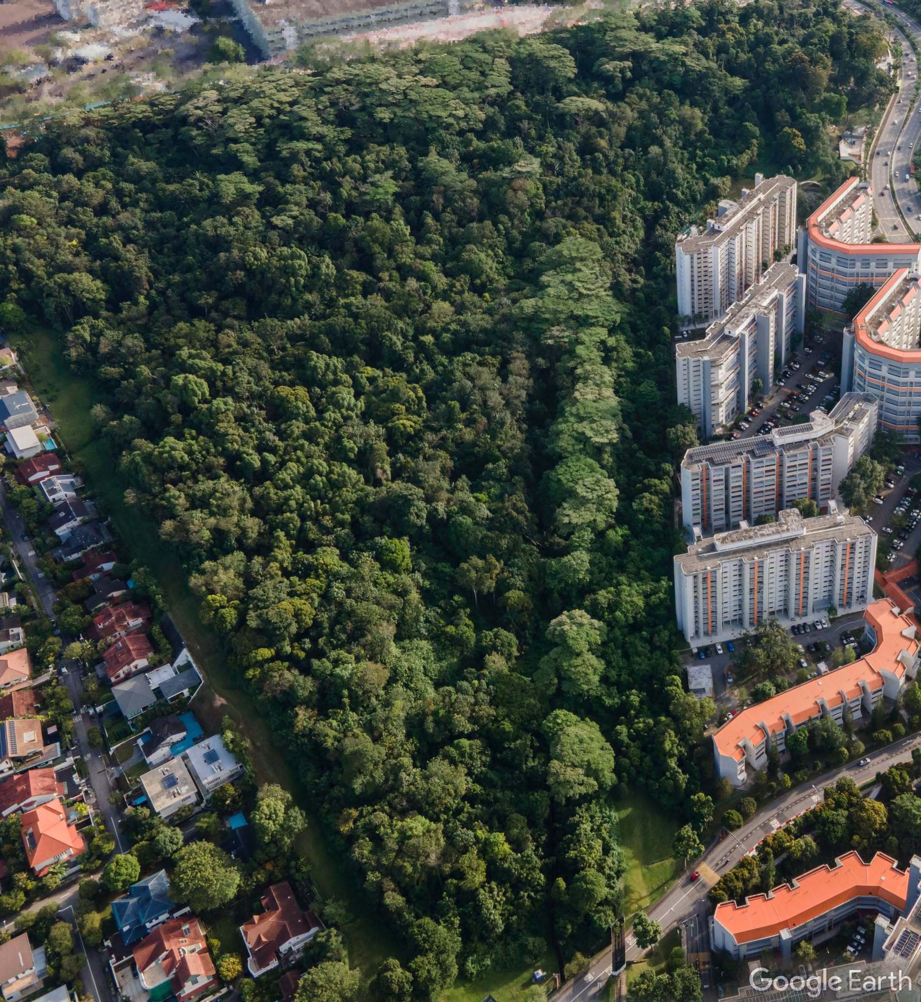 Maju Forest