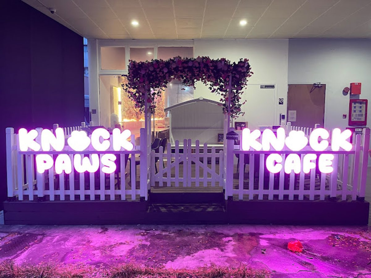 Knock Knock Paws Café