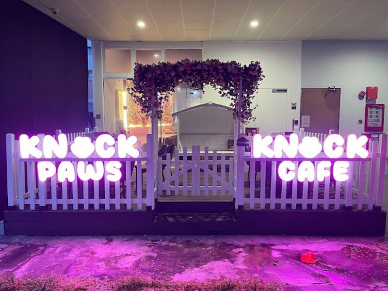 Knock Knock Paws Café