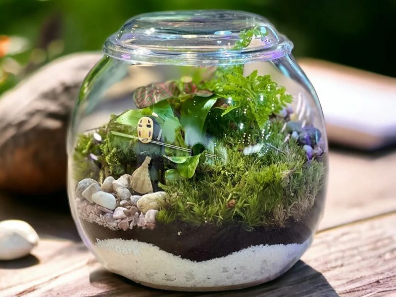 The Green Capsule