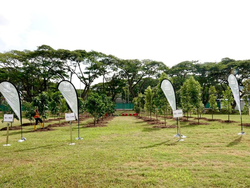 GreenSpace+